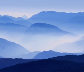 印度女医生遭奸杀 多地医护罢工抗议